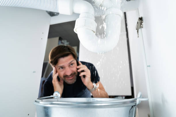 Best Leak Detection Services  in Meadowbrook, VA