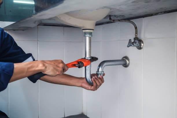 Best Plumbing Services Near Me  in Meadowbrook, VA